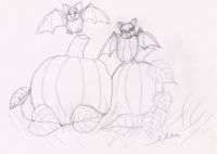 Bats and pumpkins